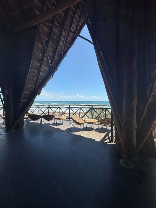 The sea framed by a thatched roof at the team retreat