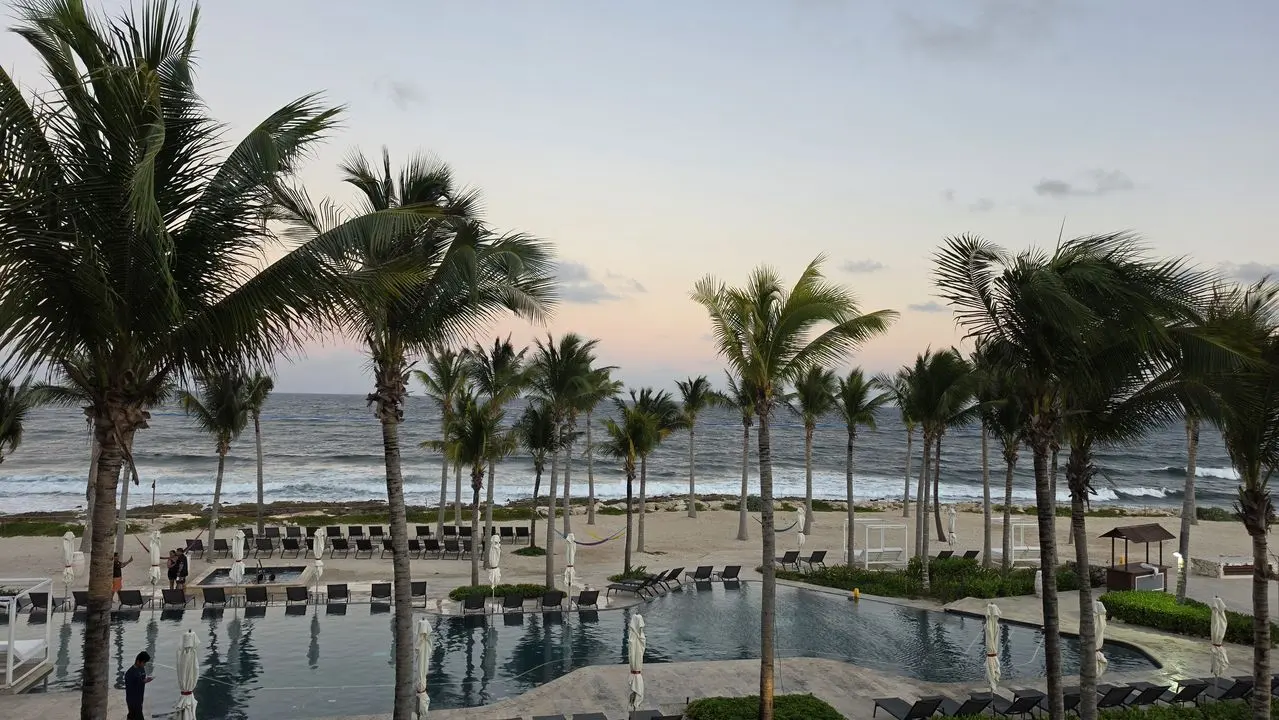 Palm trees and the pool at dusk at the retreat