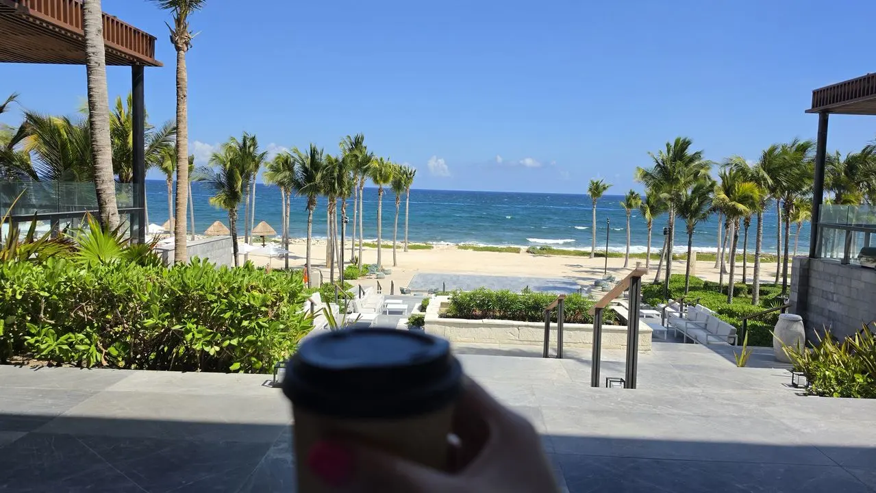 Coffee in hand, looking out over the palms to the sea